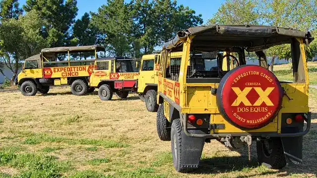 Dos Equis